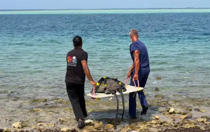 Coral Reefs and Turtles Organization Returns Green Turtle to the Red Sea After 191 Days of Care and Rehabilitation